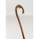 A SMALL WALKING CANE, possibly palmwood. 32ins long.