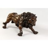 A GOOD LARGE CAST BRONZE FIGURE OF A SNARLING MALE LION. 25ins long.