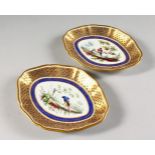 A SEVRES PAIR OF SHAPED OVAL DISHES, painted with birds in a landscape under an elaborate blue and