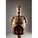 DEAN BARRATT "ANGST", a contemporary fibreglass torso of a man, on a wooden pedestal. Torso: 26ins