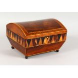 A VERY GOOD TUNBRIDGE WARE DOMED TOP PARQUETRY SEWING BOX with Van Dyke parquetry to the sides, on