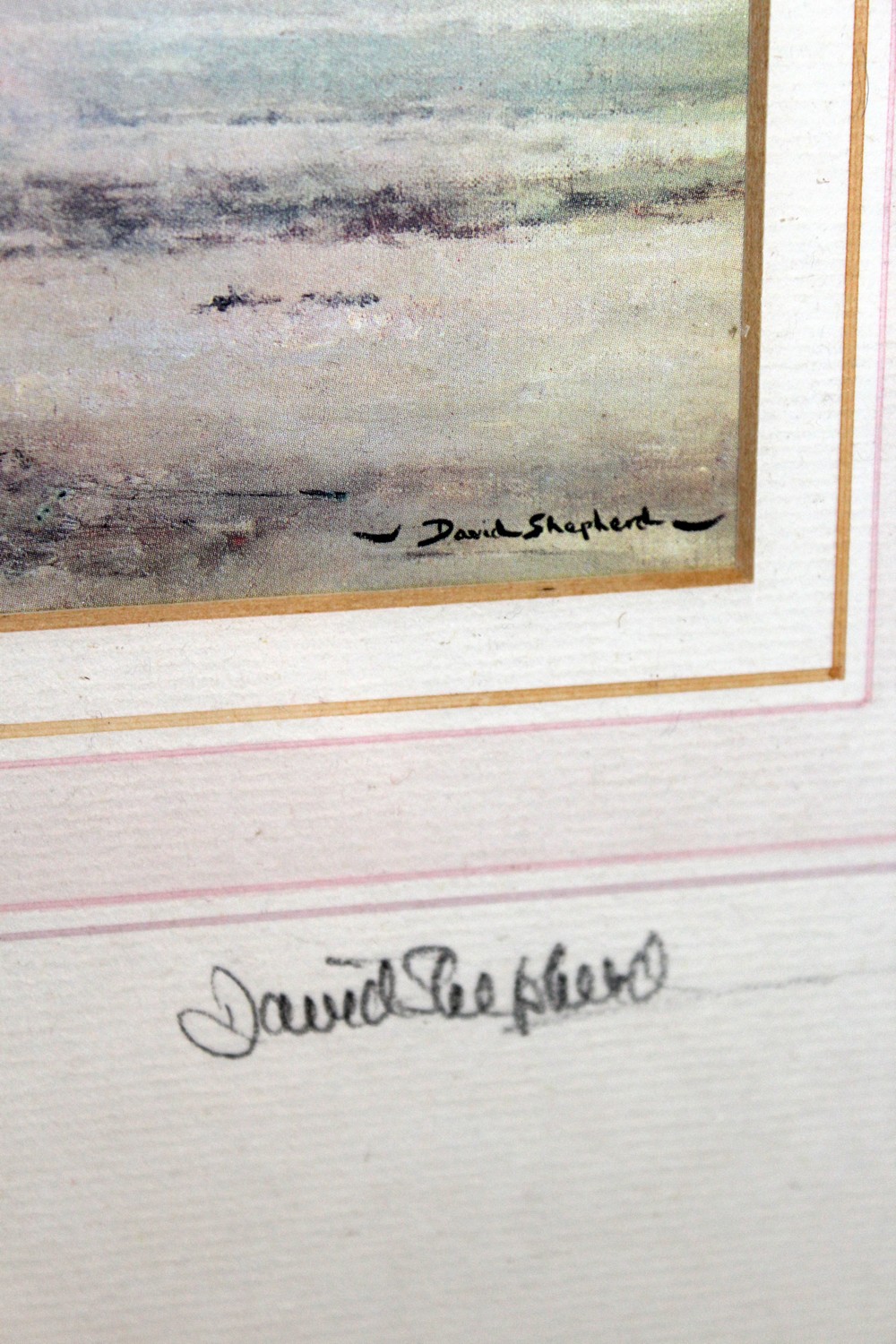 David Shepherd, a colour print of a rhinoceros, pencil signed. - Image 3 of 3