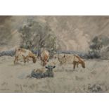 Arthur Henry Knighton-Hammond (1875-1970) British. Grazing Cattle, Watercolour, Signed, 22.5" x