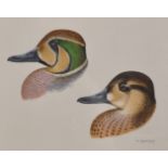 Trevor Boyer (b.1948) British. Baikal Teal, Watercolour, Signed, 6" x 7".