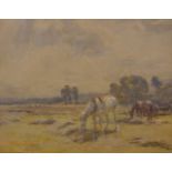 Arthur Winter Shaw (1869-1948) British. Horses Grazing in a Field, in a Gilt Composite Frame,