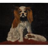 Early 20th Century British School. King Charles Spaniel and Pup, Oil on Panel, in a Fine Gilt