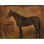 Frances Mabel Hollams (1877-1963) British. 'Cherry Brandy', Portrait of a Horse in a Stable, Oil