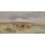 Charles Edward Brittan Junior (1870-1949) British. Cattle on the Moor, Watercolour, Signed.