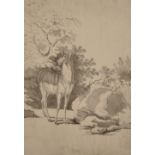 19th Century English School. A Study of a Deer in a Landscape, Pen and Watercolour, Indistinctly