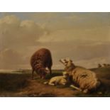 Adolphe Robert Jones (1806-1874) Belgium. Sheep in a Landscape, Oil on Mahogany Panel, Signed AR