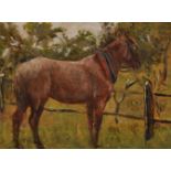 George Paice (1854-1925) British. Portrait of a Horse in a Field, Oil on Panel, Signed, 10" x 13".