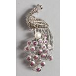 A SILVER, RUBY, PEARL AND MARCASITE PEACOCK BROOCH.