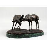 A BRONZE GROUP OF TWO FAWN, on a shaped marble base. Signed. 15ins long.