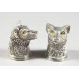 A PAIR OF AMUSING FOXES HEAD SALT AND PEPPERS. 1.5ins high.