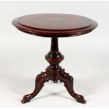 A VERY GOOD APPRENTICES MAHOGANY TILT TOP TRIPOD TABLE, on carved tripod legs. 12ins diameter.