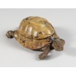 A COLD PAINTED BRONZE TORTOISE INKWELL, with a lift-up shell. 6ins long.