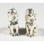 A PAIR OF AMUSING CLOWN DOG SALT AND PEPPERS. 2ins high.