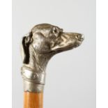 A CAST PLATE DOG'S HEAD WALKING STICK HANDLE.