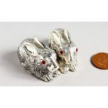 A PAIR OF CAST SILVER PLATED NOVELTY RABBIT SALT AND PEPPERS.