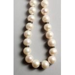 A PEARL NECKLACE, with 18ct white gold clasp and small diamond interspersed sections. 17ins long.