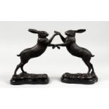 A PAIR OF BRONZE MODELS OF BOXING HARES, on marble bases. 11.5ins high.