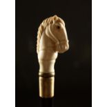A BONE HANDLED WALKING STICK, carved as a horse. 36ins long.