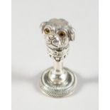 A .800 SILVER PUG DOG SEAL with glass eyes. 2ins long.