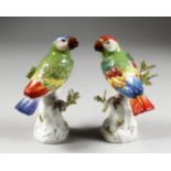 A GOOD PAIR OF MEISSEN PORCELAIN PARAKEETS ON A TREE STUMP. Cross swords mark in blue. 6ins high, in