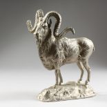 A CAST, SILVERED METAL MODEL OF A STANDING GOAT. 8ins long.