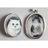 A SILVER FRAMED CAT PENDANT AND BROOCH.