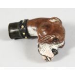 A PAINTED COLD CAST BRONZE BOXER DOG CANE HANDLE. 2.5ins.