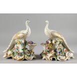 A PAIR OF PORCELAIN GROUPS OF GILT DECORATED WHITE PEACOCKS, on flower encrusted bases. 7ins high.