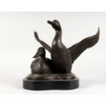 A CAST BRONZE MODEL OF DUCKS SEATED ON A POND, mounted on a marble base. 12ins wide.