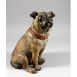AN AUSTRIAN TERRACOTTA SEATED PUG DOG with glass eyes. 11ins high.