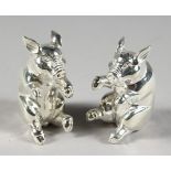 A PAIR OF AMUSING PIG SALT AND PEPPERS. 2ins long.