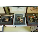 ANDY ROUSE Three original photographs, BARN OWL, TIGER and CARACAL. Signed. 44/750. 4ins x 6ins.