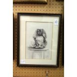 Pencil drawing of a Pekingese dog signed and dated 1915