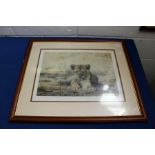 STEVEN TOWNSEND "LION CUB". Colour Print. Signed in Pencil, No. 428/500. Image 11.5ins x 15.5ins.