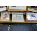 VICTORIA BRASSINGTON, Colour Print, Horse, and two other horse prints (3).