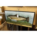 Oil painting of a trout on a wooden panel