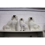 Three Staffordshire spaniels