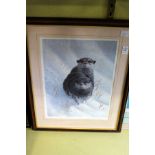 MARK CHESTER A pair of OTTERS in the snow. Signed in Pencil, No. 296/850. Image 14.5ins x 11ins.