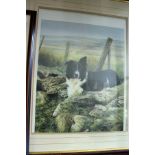 STEVEN TOWNSEND "PIP". Limited edition colour print of a collie. Image 17.5ins x 14ins.