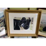 STEVEN TOWNSEND "BILL". Colour Print of a collie. Signed in Pencil, No. 180/450. Image 10.5ins x