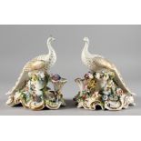 A pair of Continental porcelain models of peacocks on floral encrusted bases