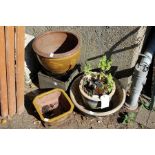 Various garden planters