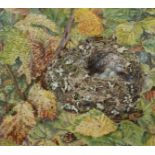 Katherine Stiffe (1866-?) British. A Bird's Nest, Watercolour, Signed, 6.5" x 7".