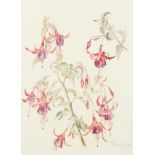 Fiona Bouthon (20th Century). A Still Life of Fuchsias, Watercolour, Signed, 14.5" x 10.5".