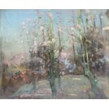 Fred Cuming (b.1930) British. 'Old Pear Trees', A Scene of Trees in Blossom, Oil on Board, 28" x