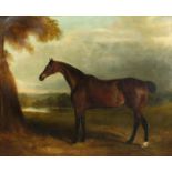 John Ferneley Junior (1815-1862) British. Portrait of a Horse belonging to Colonel Prickett,